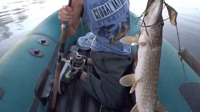 Поймал очень большую щуку