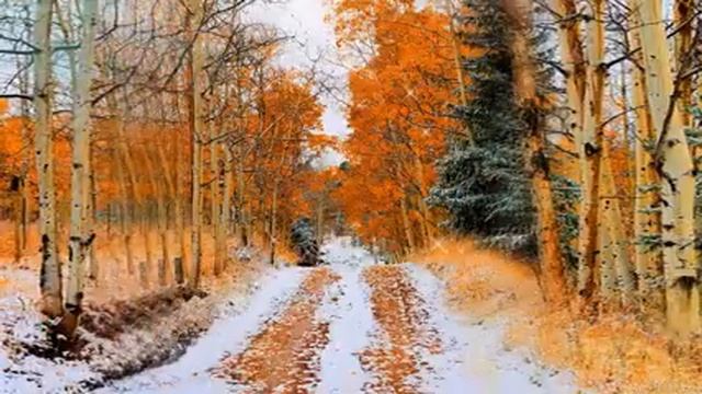 Ноябрь смотреть онлайн