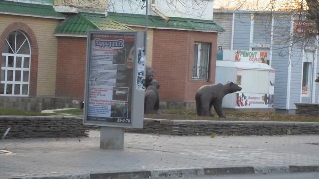 Мое слайд-шоу БЕЛАЯ КАЛИТВА смотреть онлайн