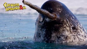 Deagostini СНЕЖНЫЕ ХИЩНИКИ и КО МАКСИ НАРВАЛ #1 Деагостини распаковка Liska Show