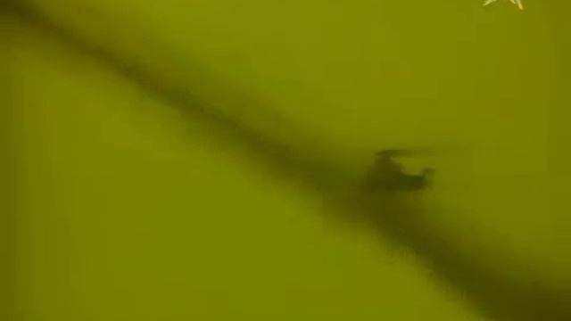 Трофим - Алешка (HQ).flv