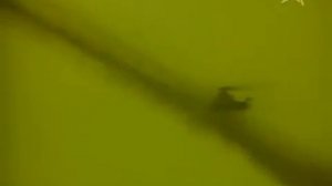 Трофим - Алешка (HQ).flv