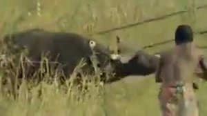 Аборигенская охота в Африка