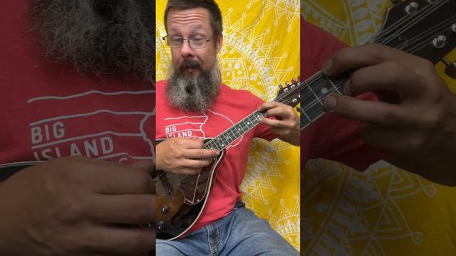 The Battle of Evermore - Led Zeppelin mandolin lesson #wagohowardhanahou #mandolin ##chords смотреть онлайн