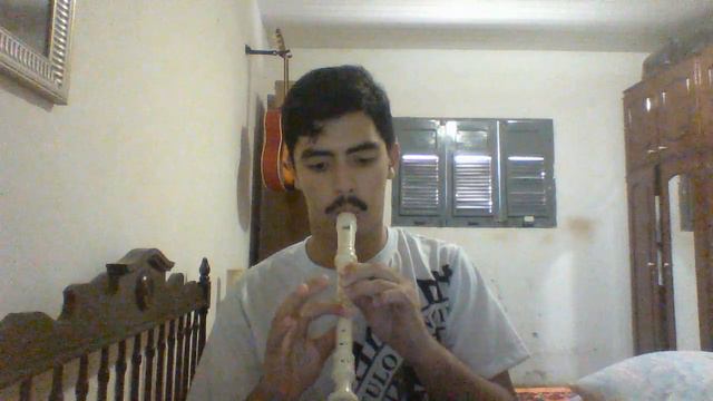 Música da cobra na Flauta Doce смотреть онлайн