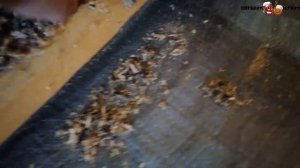 Утепление пола по лагам в доме на свайно-винтовом фундаменте. Первый раз всегда страшно. Ошибки.