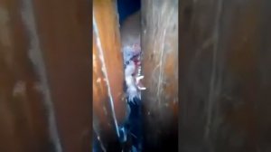 Что значит БЕШЕНСТВО!