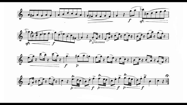 Initiation á Mozart. Minuetto (du Divertimento K 334). Étude 13 смотреть онлайн