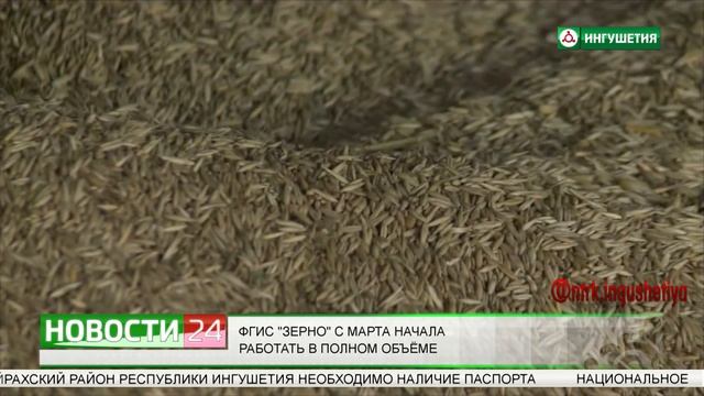 ФГИС "Зерно" с марта начала работать в полном объеме смотреть онлайн