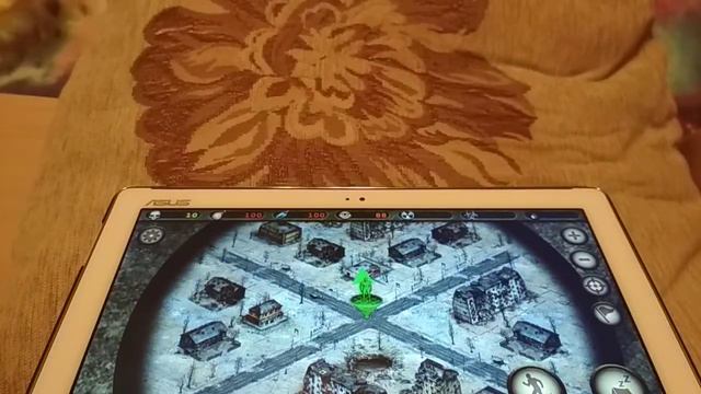 Day r survival советы для новичков смотреть онлайн