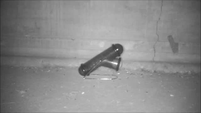 Can A Ping Pong Ball Catch Mice? The TEETER PONG Mouse Trap: Mousetrap Monday смотреть онлайн