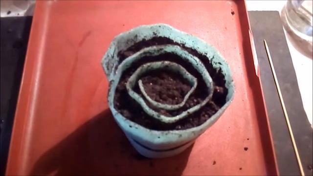 Сажаем землянику! - Делимся дачными советами #3 смотреть онлайн