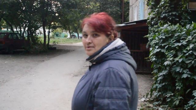 Выгуливать собак негде! смотреть онлайн