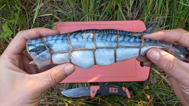 Коптильня с AliExpress 