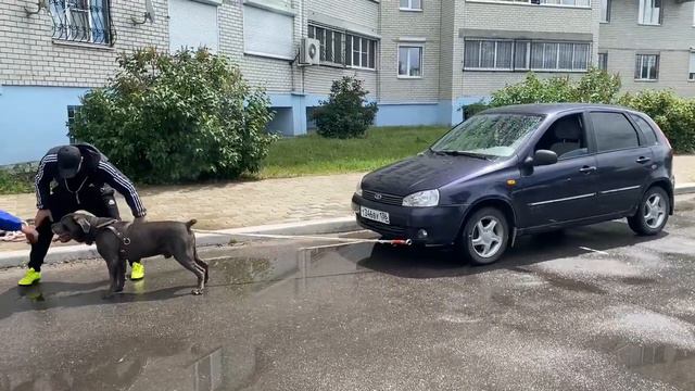 Полное видео, как Фараон сдвинул Лада Калину смотреть онлайн