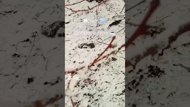 #сдобрымутром ☕ #настроение #relax #relaxing #shorts #short #снег #погода #природа #snow смотреть онлайн