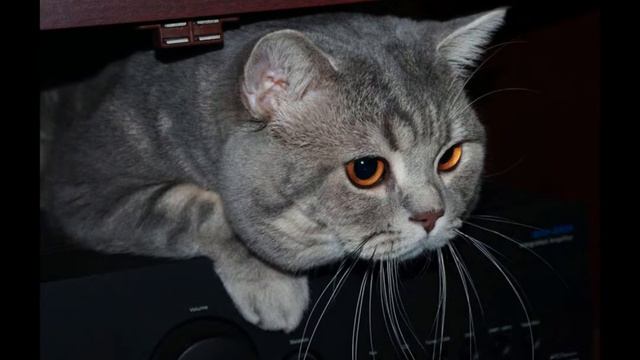 Колыбельная смотреть онлайн