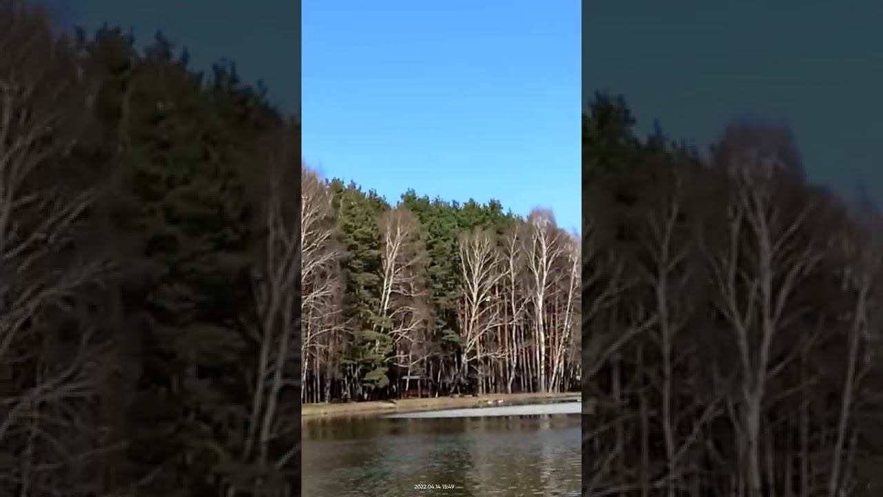 Чайка смотреть онлайн