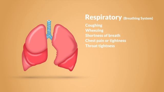 How to Recognize Signs and Symptoms смотреть онлайн