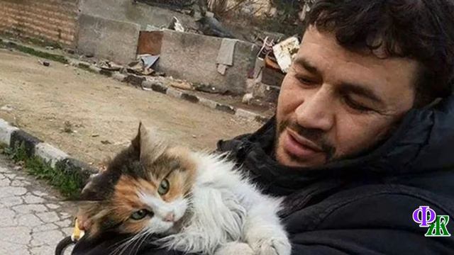 - Я котенка у бомжей выкупил, он умирал в кустах от какой-то болезни, еле дышал, думал не спасу смотреть онлайн