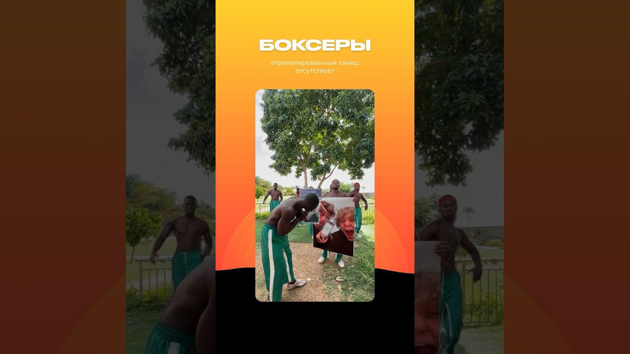 Команда «Боксеры» смотреть онлайн