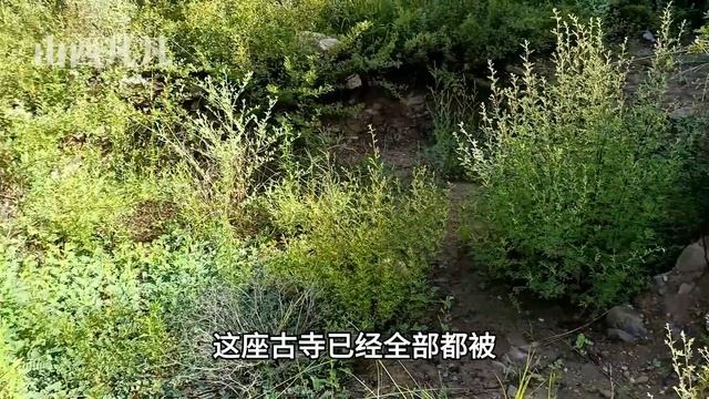 山西没人敢上的悬崖，40岁尼姑竟然在山洞生下2个儿子，为何跳崖而死？Multi-language subtitles are supported смотреть онлайн