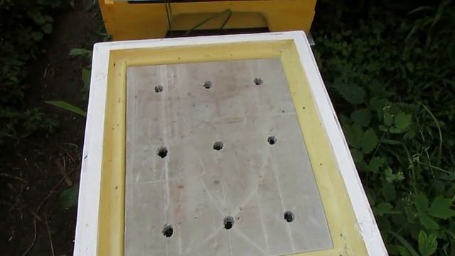 пчелы показали, что им не нужно летом, открытое сетчатое дно в жаркую погоду - часть 1 смотреть онлайн