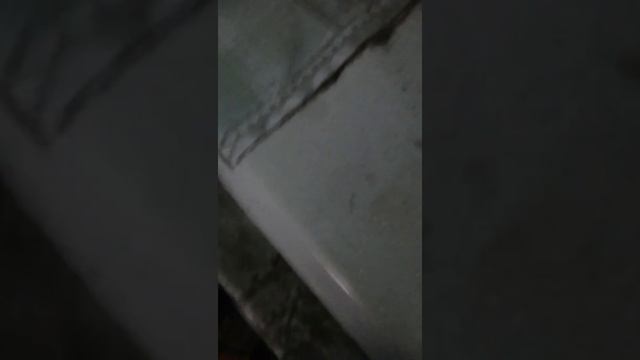 Я роскожу как мою раковину