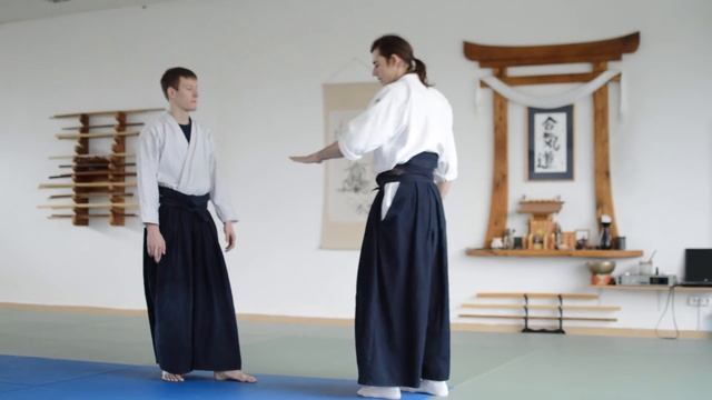 All Aikido Kokyu Nage Explained!
