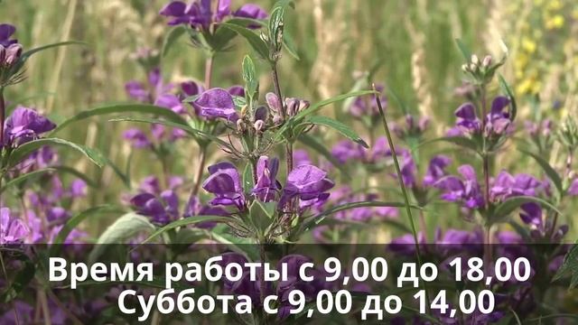 7,00*3,20*н-2,80: Продажа и производство. Любые планировки. смотреть онлайн