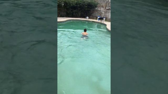 Polar plunge challenge! Part 1 смотреть онлайн