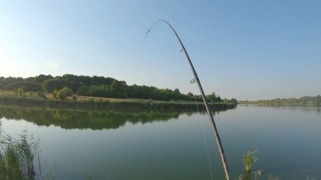 Судак или Амур? Рыбалка в Писаревке , Харьковская обл. смотреть онлайн