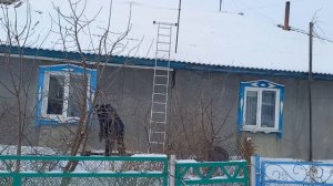 " Сибирский медведь "