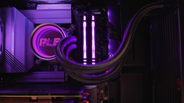 Tropic ? ALL NEW Intel Core i5-12600 CPU + RTX 3060 Gaming PC смотреть онлайн