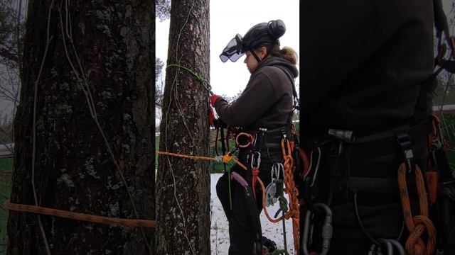 Личный опыт использования техники подъёма на дерево на петлях. смотреть онлайн