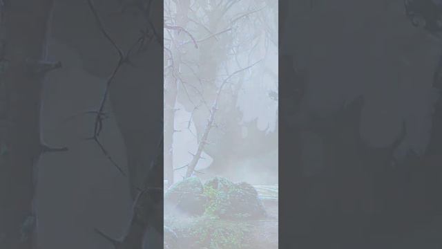 Арканум - Сцена с Деймоном