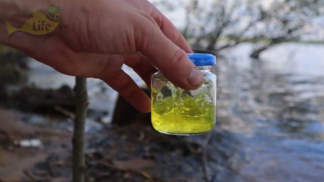 ЭТОТ АРОМАТ ЗАСТАВИТ КЛЮНУТЬ ДАЖЕ СЫТУЮ РЫБУ! какая рыба любит запах клубники? смотреть онлайн