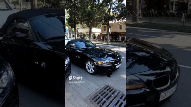 #обними #новинки #музыка #сочи