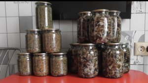 Заготовка опят на зиму. Готовим вкусняшки из опят.Просто и очень вкуксно.