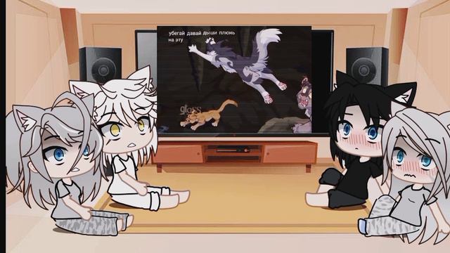 коты-воители реакция гача смотреть онлайн