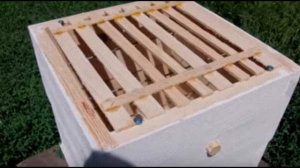 японский улей или  улей Варрэ  Безрамочное содержание пчёл | Пчеловодство выходного дня