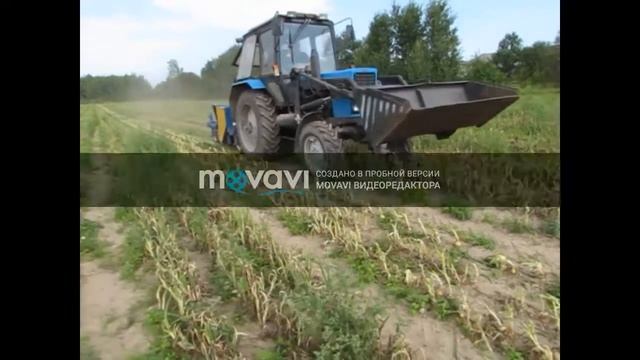 Машина для уборки ботвы корнеплодов БТУ-1,4 производства ЗАО "Агропромсельмаш" смотреть онлайн