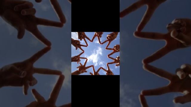 Урок дружбы//Михаил Пляцковский смотреть онлайн