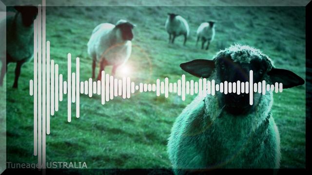 SAFIA - Counting Sheep смотреть онлайн