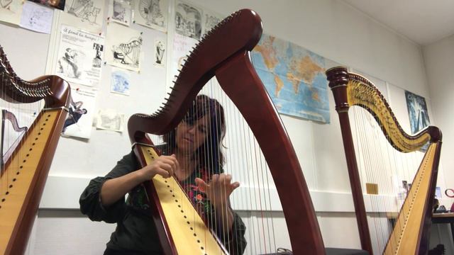 Квіти мінних зон Kviti Minnikh Zon, Океан Ельзи / Okean Elzy Harp cover смотреть онлайн