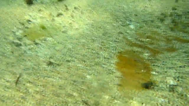 Природа смотреть онлайн