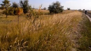 Осень осень Эдуард Хиль.
