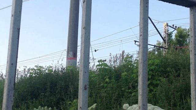 Истра: от озера Подкова до площади революции смотреть онлайн