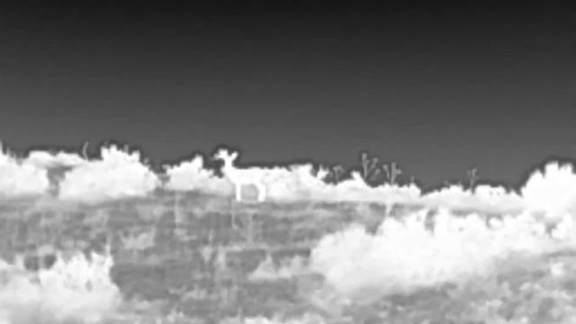 infiray t2s thermal capture смотреть онлайн