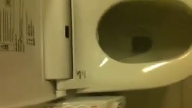 што е јапонска вц шоља смотреть онлайн